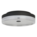 Searchlight - Plafón LED de techo CYPRUS LED/21W/230V Ø 30 cm negro