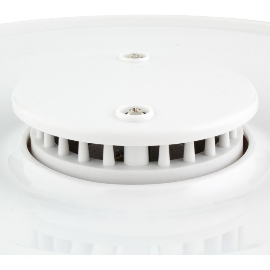 Sencor - Deshidratador de alimentos 250W/230V