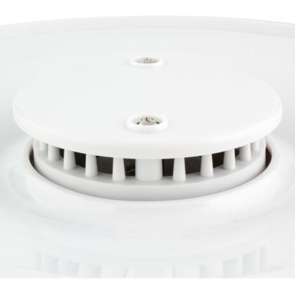 Sencor - Deshidratador de alimentos con termorregulación 250W/230V