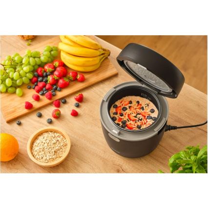 Sencor - Olla arrocera 350W/230V 0,6 l negra