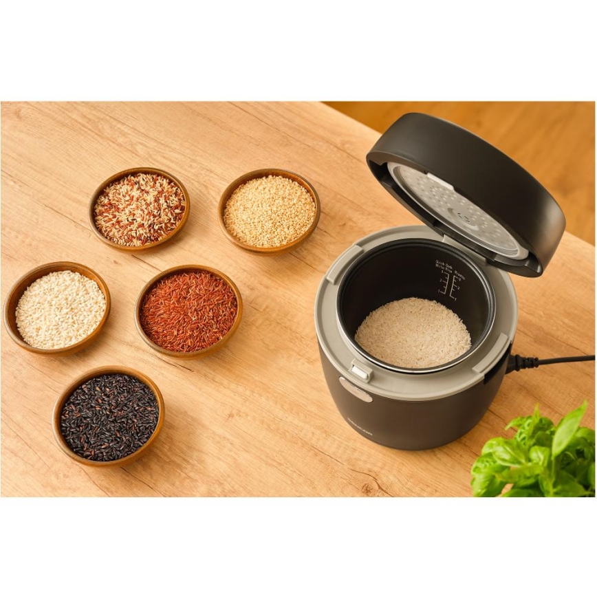 Sencor - Olla arrocera 350W/230V 0,6 l negra