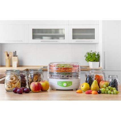 Sencor - Secador de alimentos con termorregulación 250W/230V