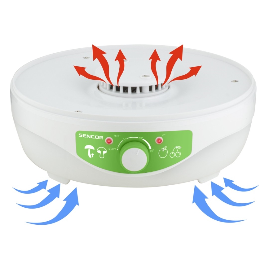 Sencor - Secador de alimentos con termorregulación 250W/230V