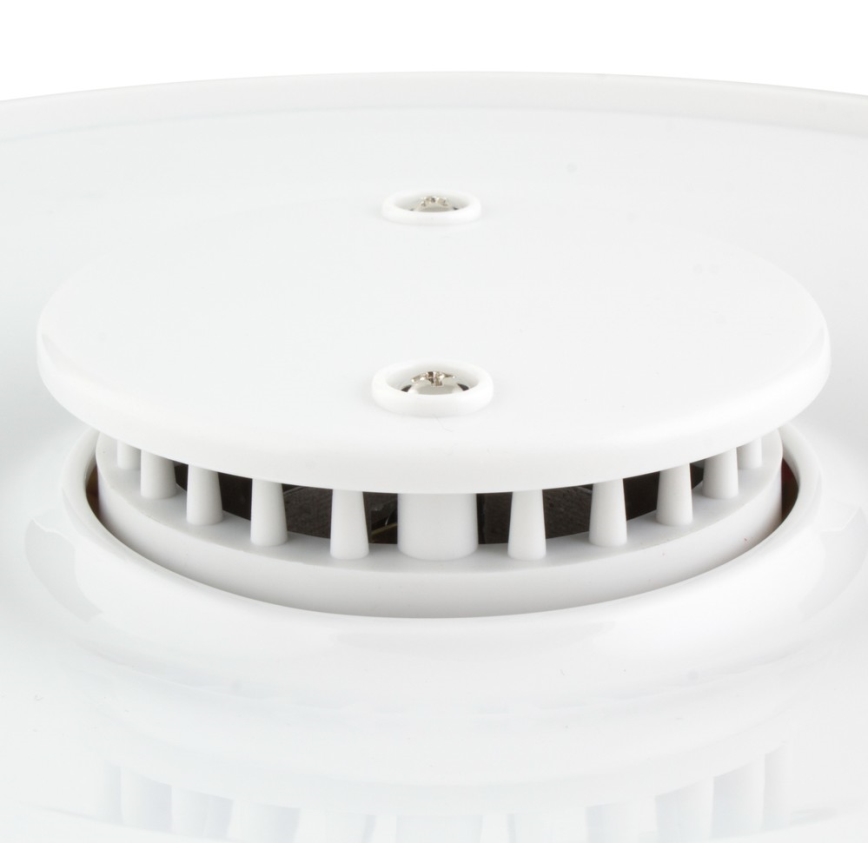 Sencor - Secador de alimentos con termorregulación 250W/230V