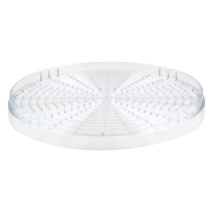 Sencor - Secador de alimentos con termorregulación 250W/230V