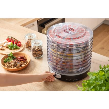 Sencor - Secador de alimentos con termorregulación 250W/230V