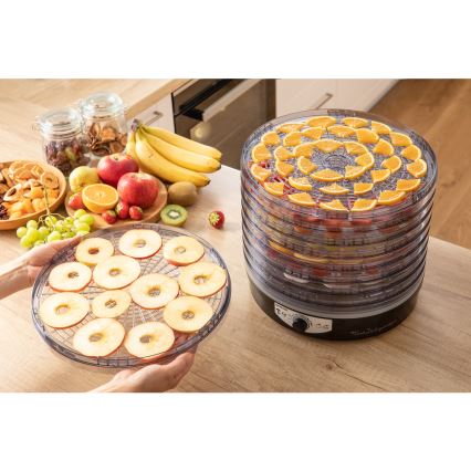 Sencor - Secador de alimentos con termorregulación 250W/230V