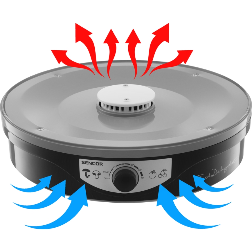 Sencor - Secador de alimentos con termorregulación 250W/230V