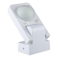 Sensor de movimiento exterior por infrarrojos 360° 1000W/230V IP65 blanco