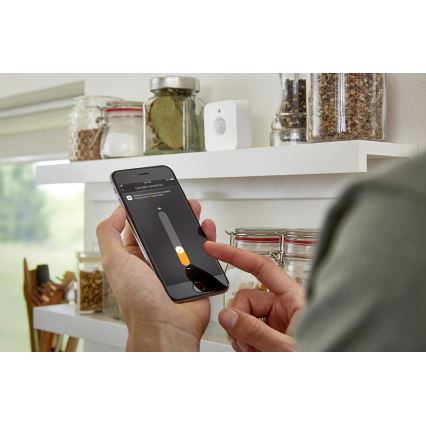 Philips Hue - Sensor de movimiento IP42