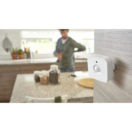Philips Hue - Sensor de movimiento IP42