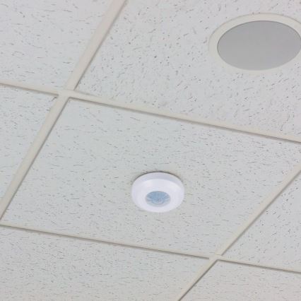 Sensor de movimiento por infrarrojos 360° 200W/230V blanco