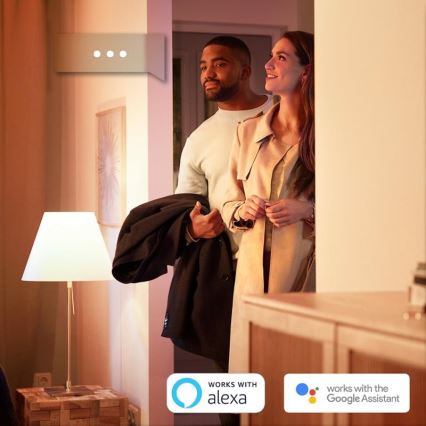 SET 2x LED Bombilla regulable Philips HUE WHITE E27/9W/230V