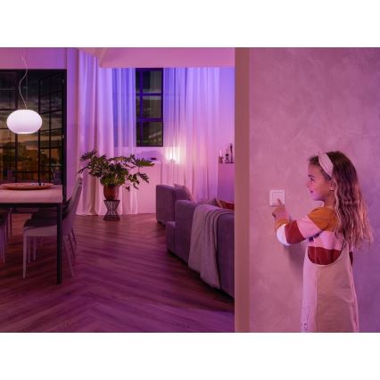 SET DE 2x Módulo para interruptor de pared Philips Hue SWITCH