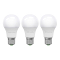 SET 3x Bombilla LED ECOLINE A60 E27/15W/230V 4000K - Brilagi