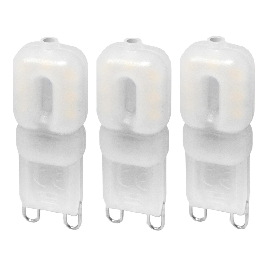 SET 3x Bombilla LED ECOLINE G9/2,5W/230V 3000K - Brilagi