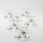 Set 6x vaso de vidrio con platillo transparente ramo n° 3