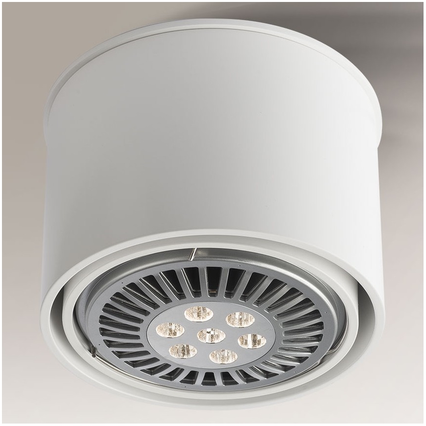 Shilo - Foco 1xGU10/15W/230V blanco