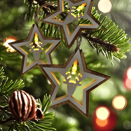 Guirnalda LED 10xLED/2xAA 1,8m blanco cálido