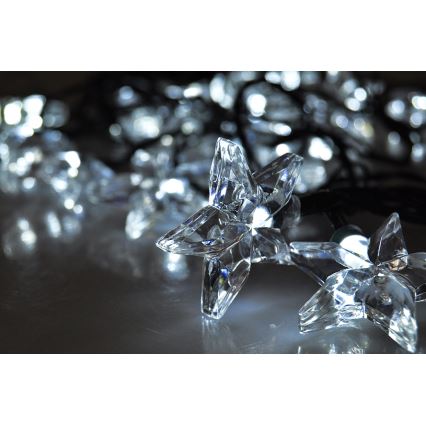 LED Cadena navideña 3m 20xLED/230V