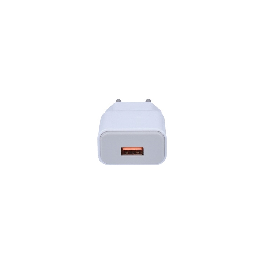 USB Adaptador de carga 1xUSB/230V