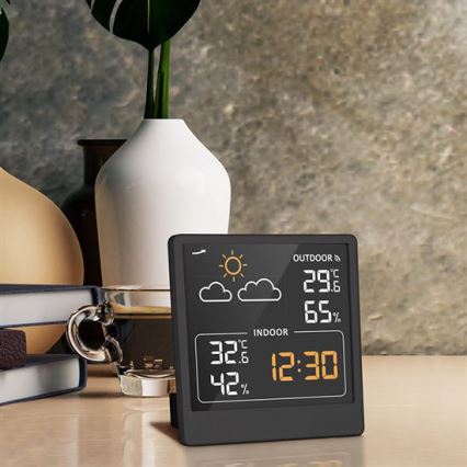 Termómetro digital 5V/2xAAA + 2xAAA negro