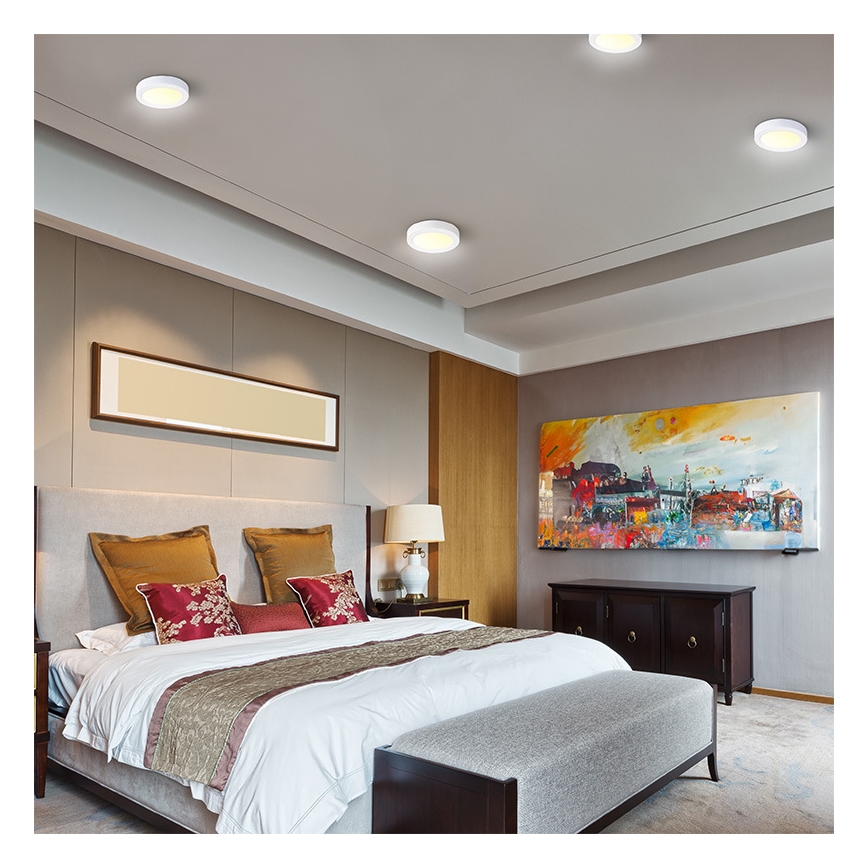 Plafón LED de techo 18W/230V 3000/4000/6000K Ø 22,5 cm, blanco
