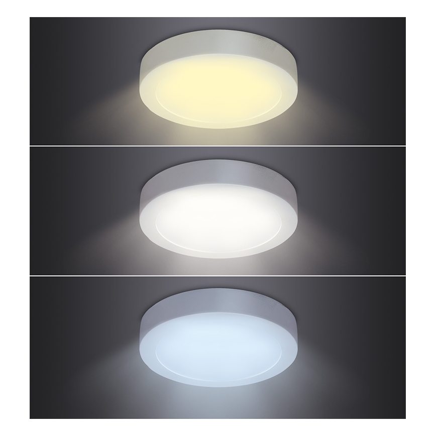 Plafón LED de techo 18W/230V 3000/4000/6000K Ø 22,5 cm, blanco