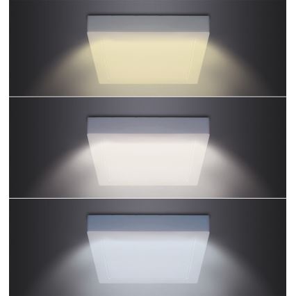 Plafón LED de techo, 18W/230V, 3000/4000/6000K, 22,5x22,5 cm, blanco