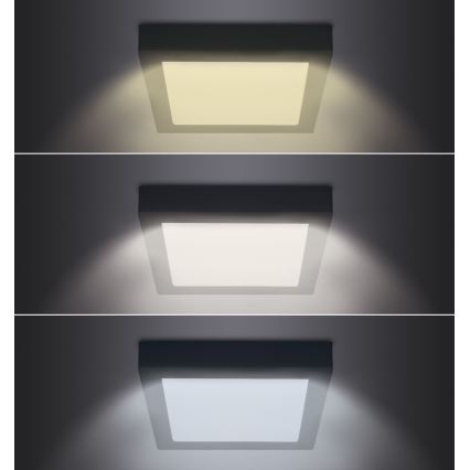 Plafón LED LED/24W/230V 3000/4000/6000K negro angular