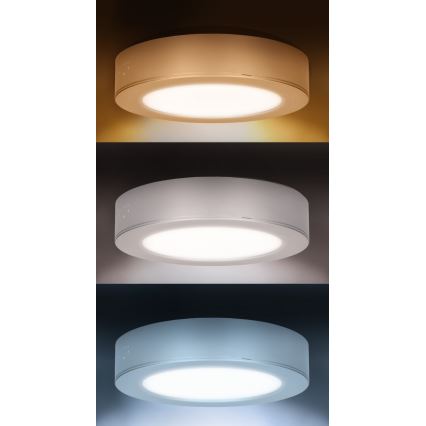 Panel LED 2 en 1 para montaje en superficie/empotrado LED/12W/230V 3000/4000/6000K Ø17cm IP54 plateado