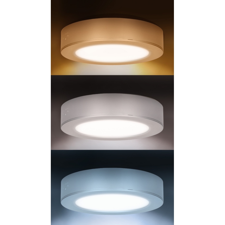 Panel LED 2 en 1 para montaje en superficie/empotrado LED/12W/230V 3000/4000/6000K Ø17cm IP54 plateado