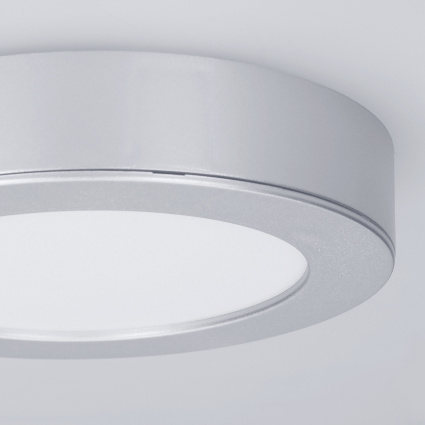 Panel LED 2 en 1 para montaje en superficie/empotrado LED/12W/230V 3000/4000/6000K Ø17cm IP54 plateado