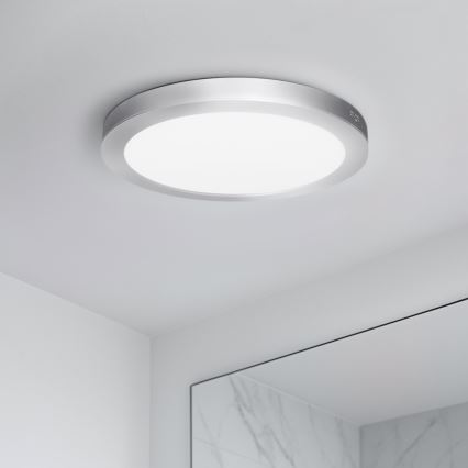Panel LED 2 en 1 empotrable o de superficie 18W/230V 3000/4000/6000K Ø 22,5 cm IP54 plateado