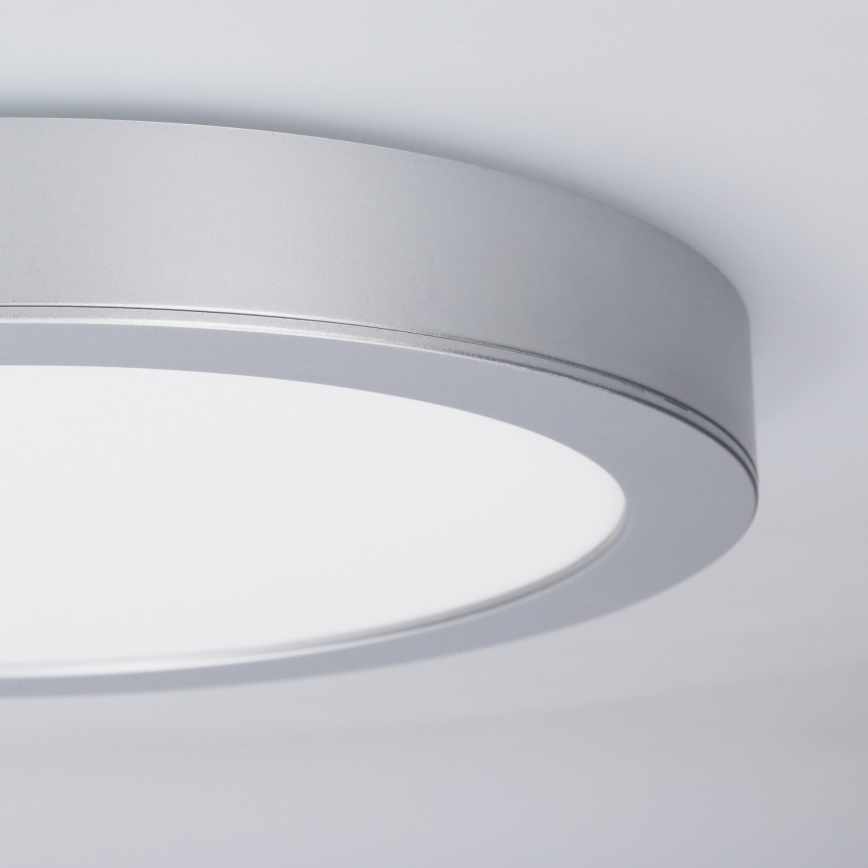 Panel LED 2 en 1 empotrable o de superficie 18W/230V 3000/4000/6000K Ø 22,5 cm IP54 plateado