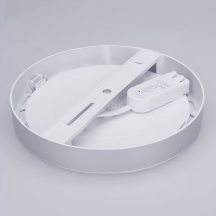 Panel LED 2 en 1 empotrable o de superficie 18W/230V 3000/4000/6000K Ø 22,5 cm IP54 plateado