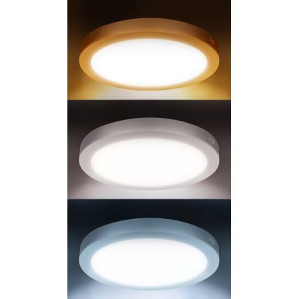 Panel LED 2 en 1 empotrable/superficie 18W/230V 3000/4000/6000K Ø22,5 cm IP54 blanco