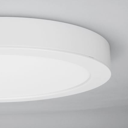 Panel LED 2 en 1 empotrable/superficie 18W/230V 3000/4000/6000K Ø22,5 cm IP54 blanco