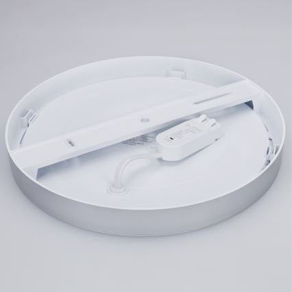 LED panel de superficie/empotrable 2 en 1 24W/230V 3000/4000/6000K Ø 30 cm IP54 plateado