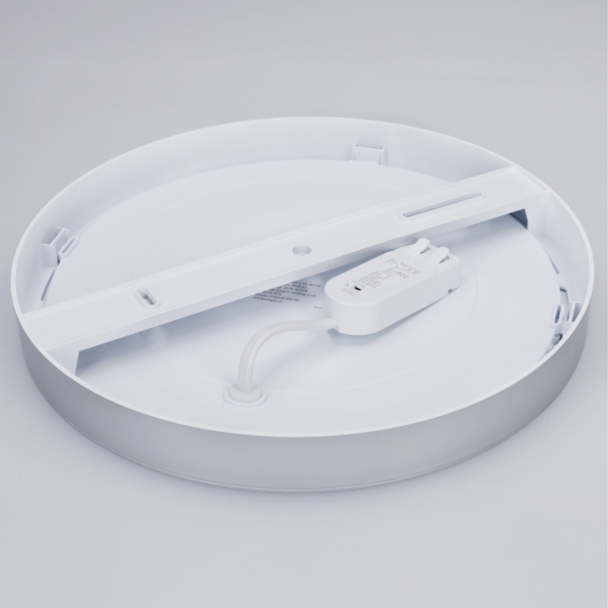 LED panel de superficie/empotrable 2 en 1 24W/230V 3000/4000/6000K Ø 30 cm IP54 plateado