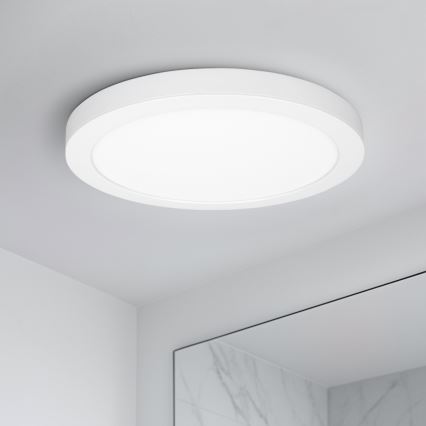 Panel LED 2 en 1 para montaje en superficie o empotrado, 24 W/230 V, 3000/4000/6000 K, diámetro 30 cm, IP54, blanco