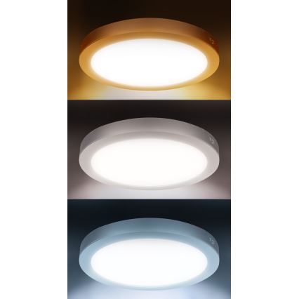 Panel LED 2 en 1 para montaje en superficie o empotrado, 24 W/230 V, 3000/4000/6000 K, diámetro 30 cm, IP54, blanco
