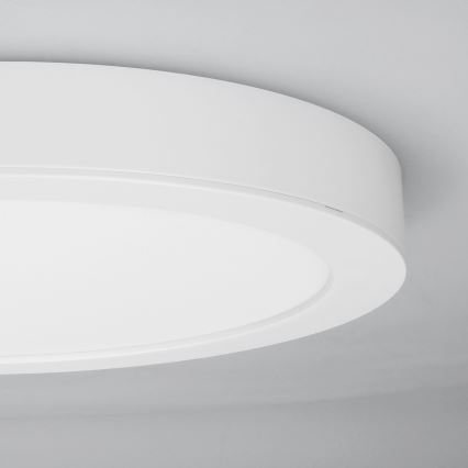 Panel LED 2 en 1 para montaje en superficie o empotrado, 24 W/230 V, 3000/4000/6000 K, diámetro 30 cm, IP54, blanco