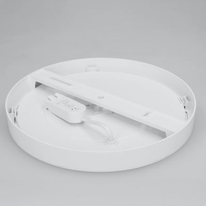 Panel LED 2 en 1 para montaje en superficie o empotrado, 24 W/230 V, 3000/4000/6000 K, diámetro 30 cm, IP54, blanco
