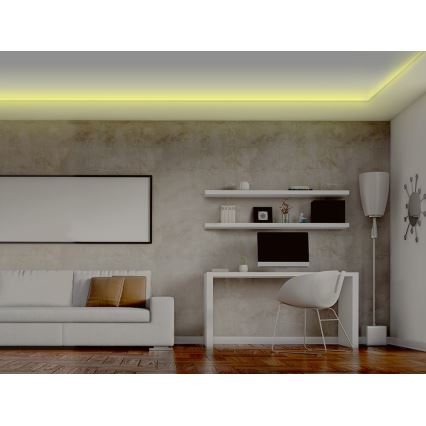Cinta LED RGB regulable LED/20W/230V 5m IP65 Tuya + CR