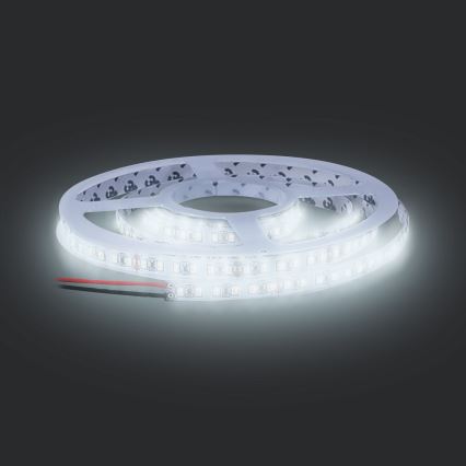 Tira LED LED/50W/12V 5m blanco frío