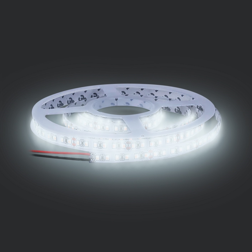 Tira LED LED/50W/12V 5m blanco frío