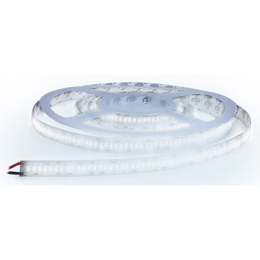 Cinta LED LED/80W/12V 5m blanco frío