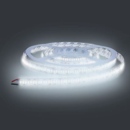 Cinta LED LED/80W/12V 5m blanco frío