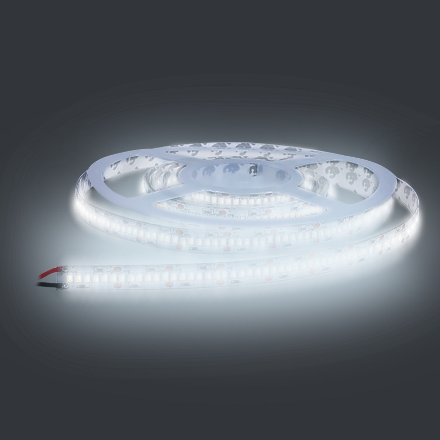 Cinta LED LED/80W/12V 5m blanco frío